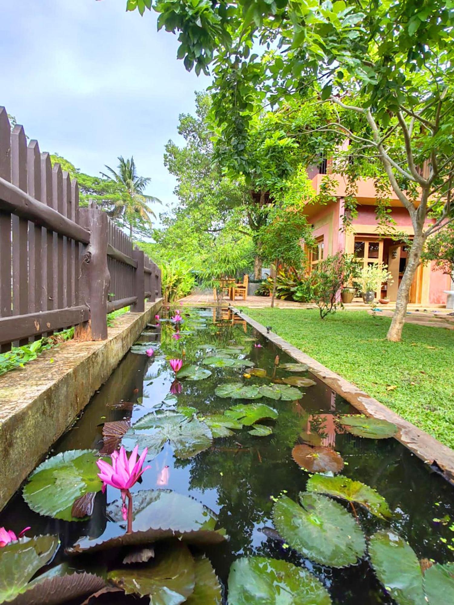 Art Yala Boutique Resort Tissamaharama Exterior foto