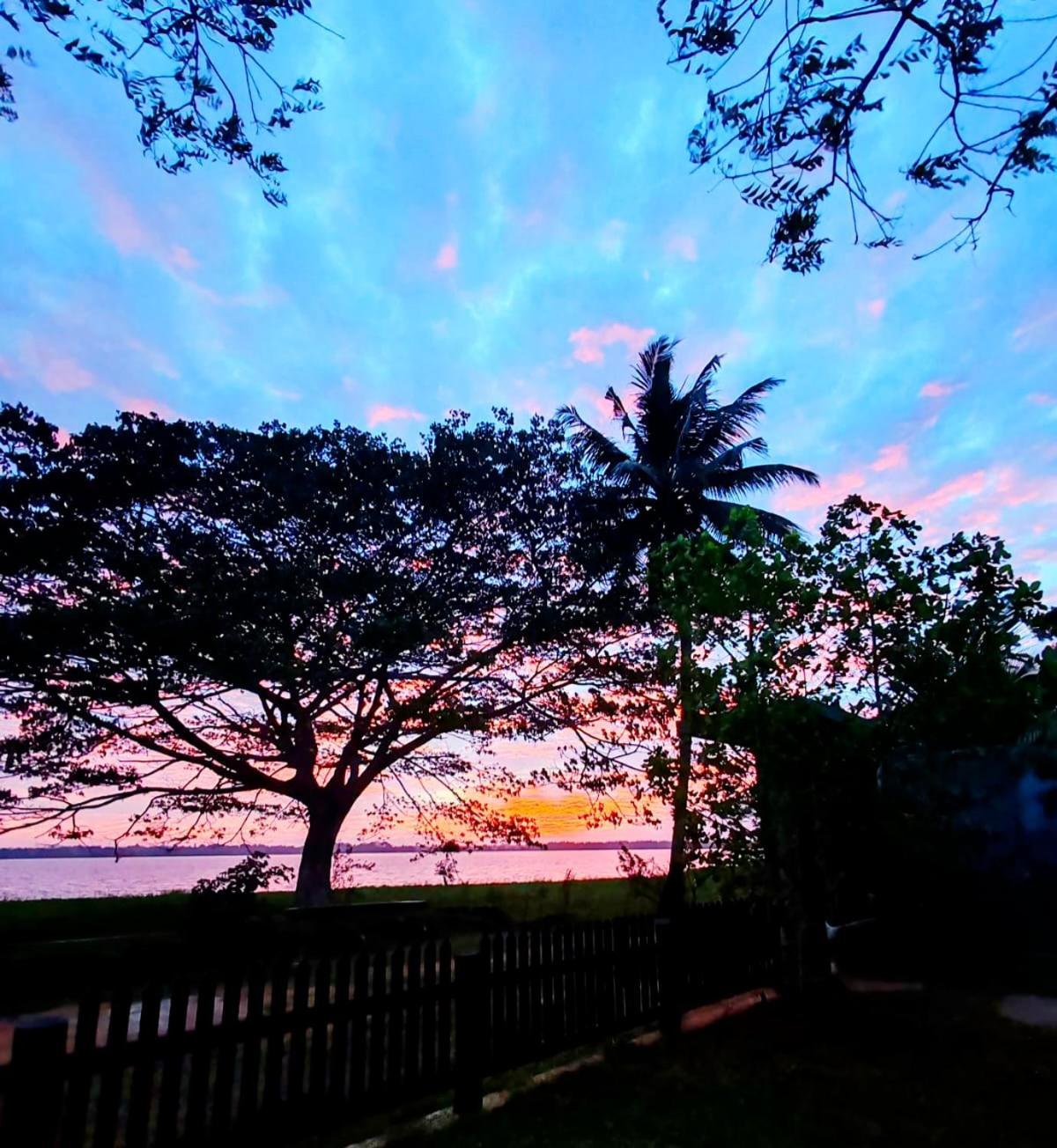 Art Yala Boutique Resort Tissamaharama Exterior foto