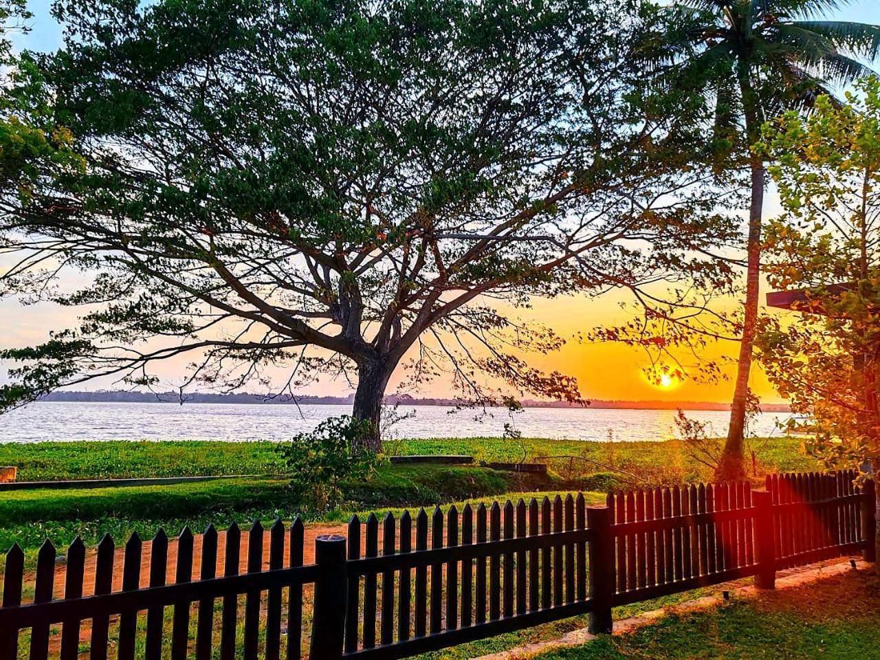Art Yala Boutique Resort Tissamaharama Exterior foto
